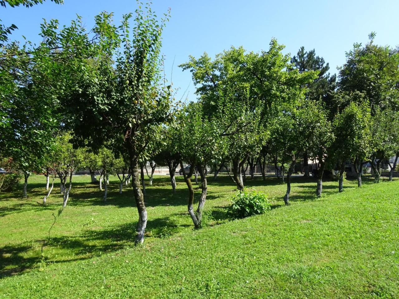 Apartment Una Laguna Bihac Bagian luar foto